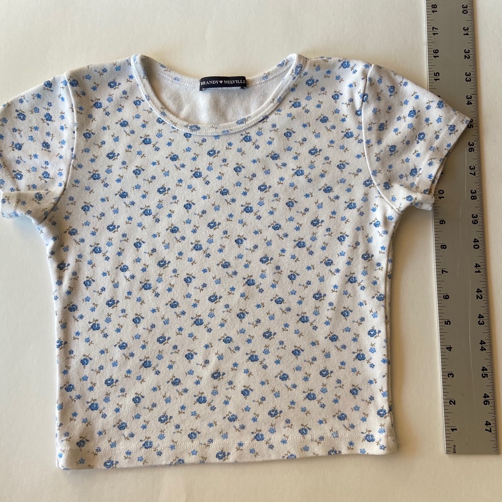 Brandy Melville Ashlyn Floral Blue/White Top